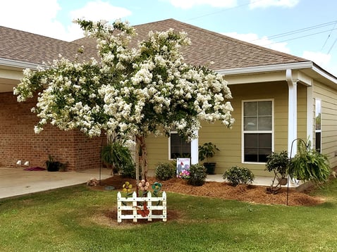 Fully Landscaped Grounds